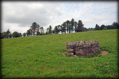 The enclosure in the field